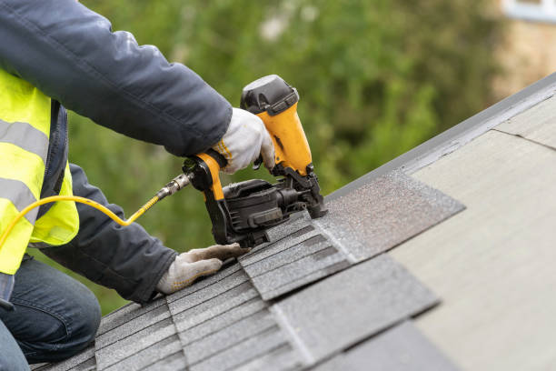 Best Roof Moss and Algae Removal  in Bel Nor, MO